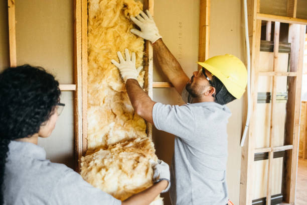 Best Spray Foam Insulation  in Reston, VA